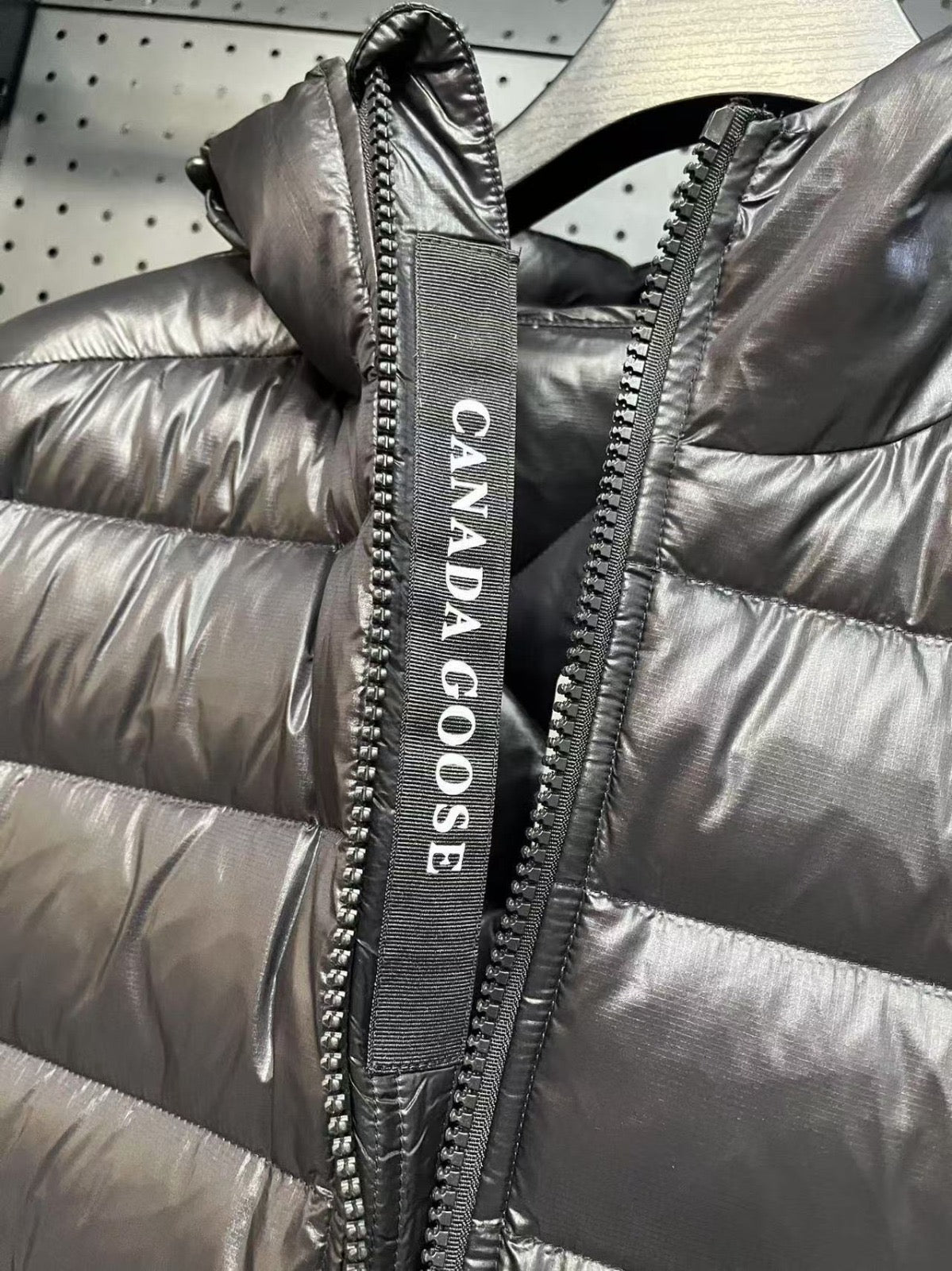 Canada goose crofton