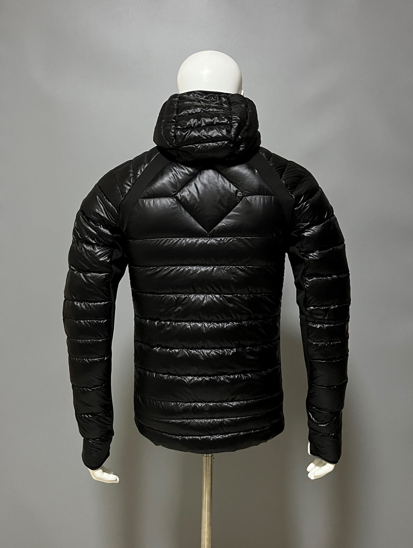 Goose hybrid lite