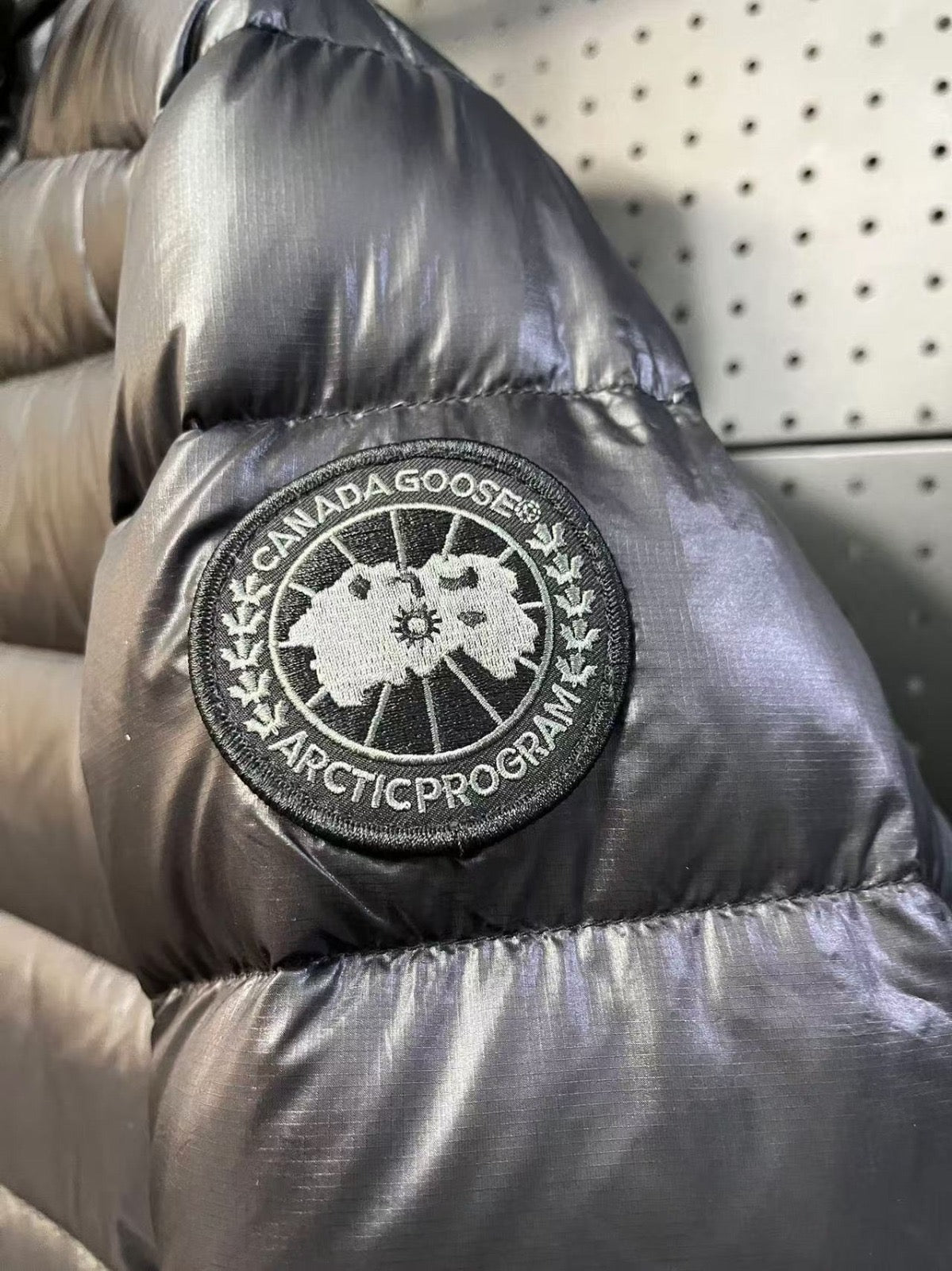 Canada goose crofton