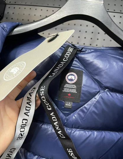 Canada goose crofton