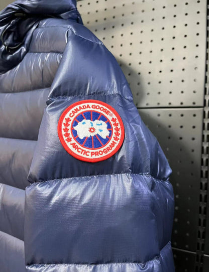 Canada goose crofton